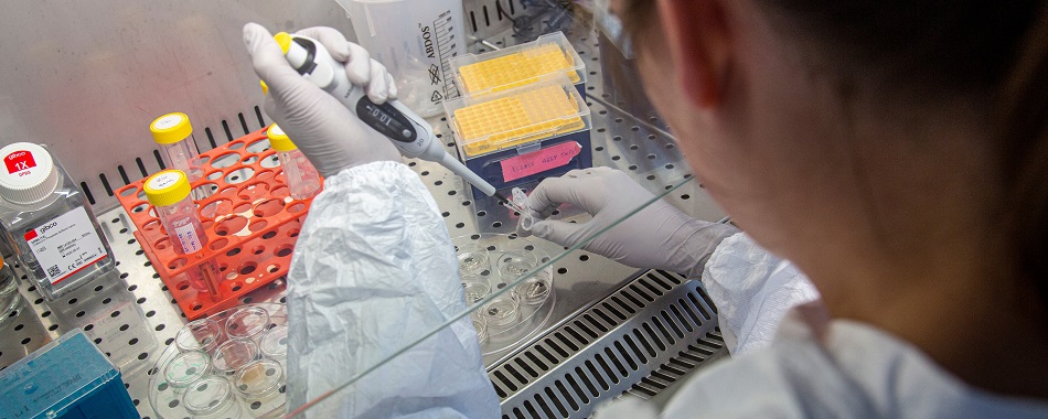 Recherche à l'Institut Curie