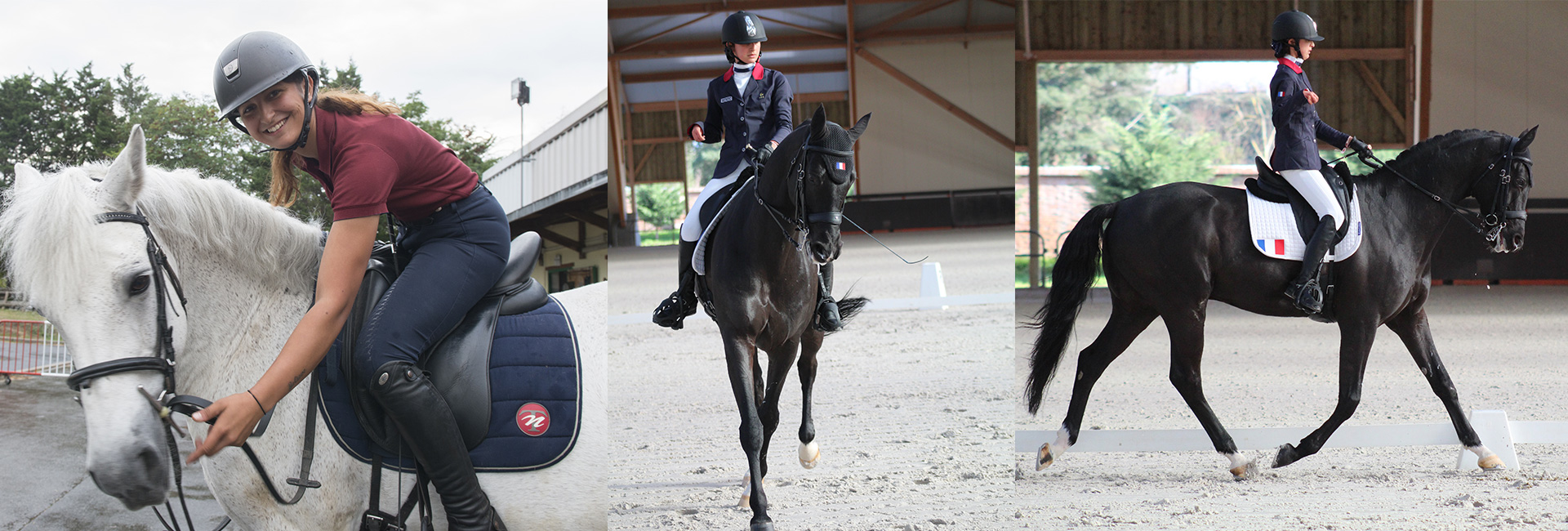 Bandeau-en-tête-Equiaction-2