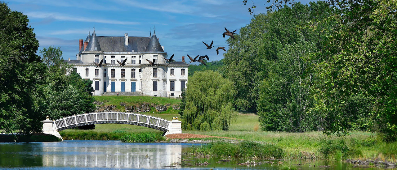Lien vers l'article de soutien mécénat au Domaine de Méréville (pont aux boules d'or)